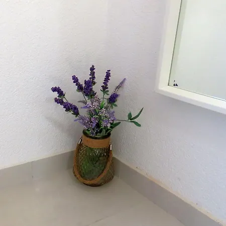 Apartment Kamelija Malinska