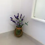 Apartmán Kamelija Malinska