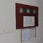 Kamelija * Malinska