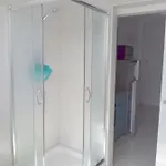 Kamelija *