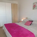 Kamelija Apartmán