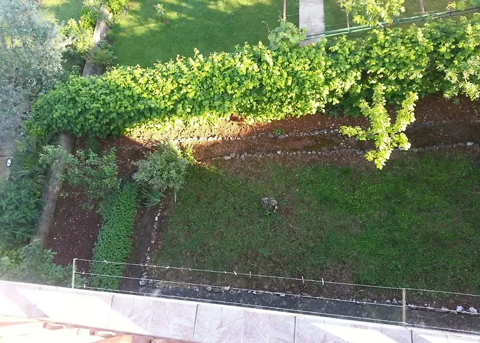 Kamelija Apartamento